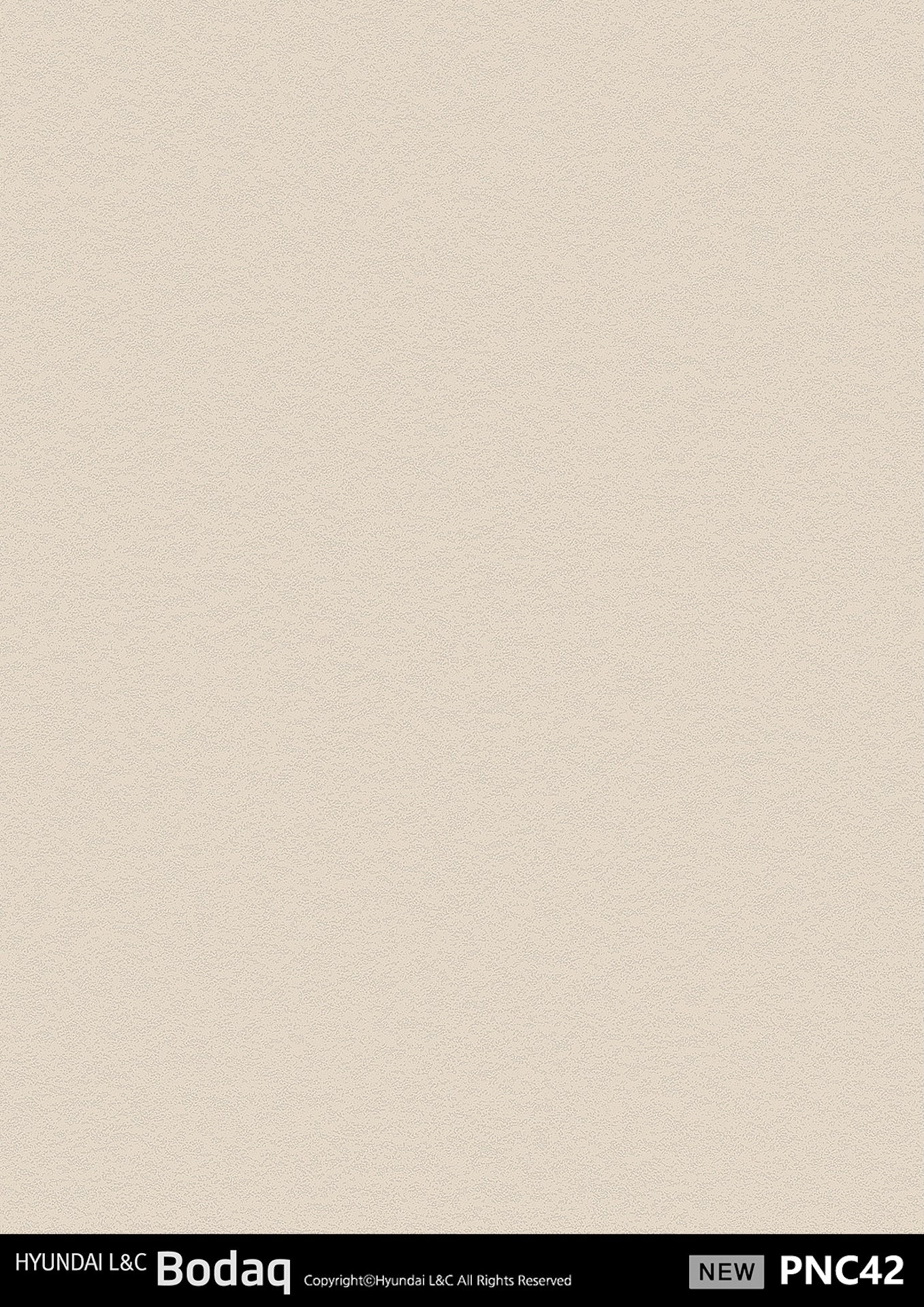 Premium Painted Concrete Series - PNC42 - Vinyl door wrap