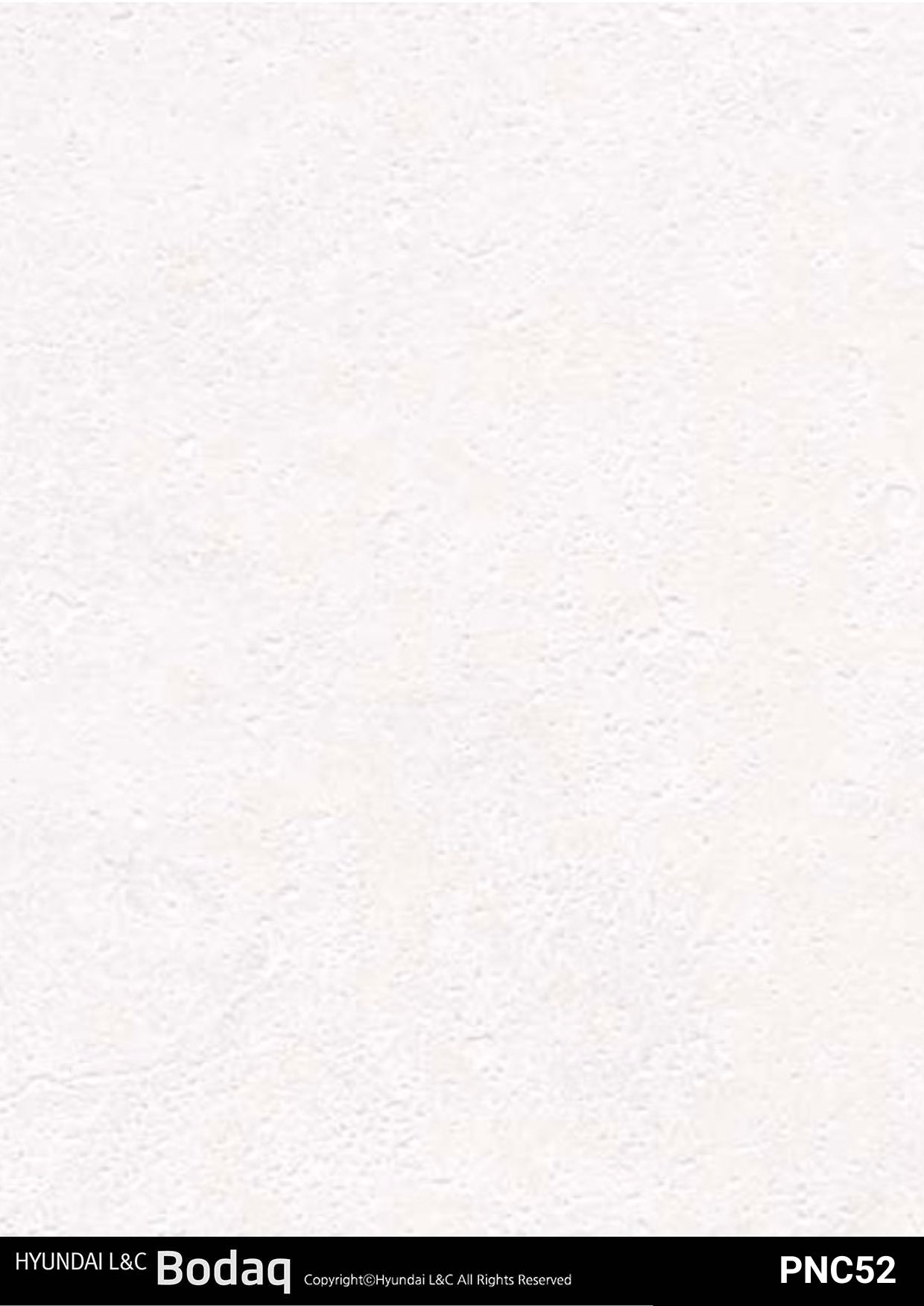 Premium Painted Concrete Series - PNC52 - Vinyl door wrap