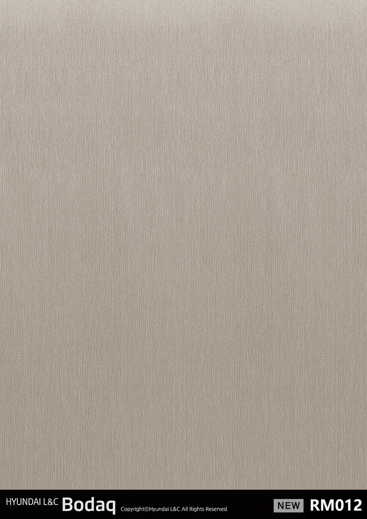 Real Metal - RM012 - Vinyl door wrap