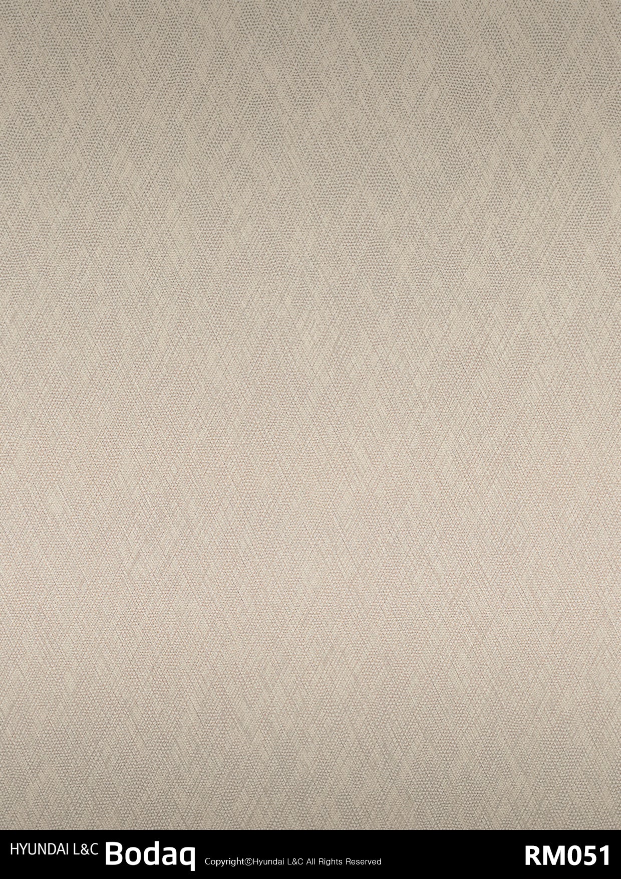 Real Metal - RM051 - Vinyl door wrap