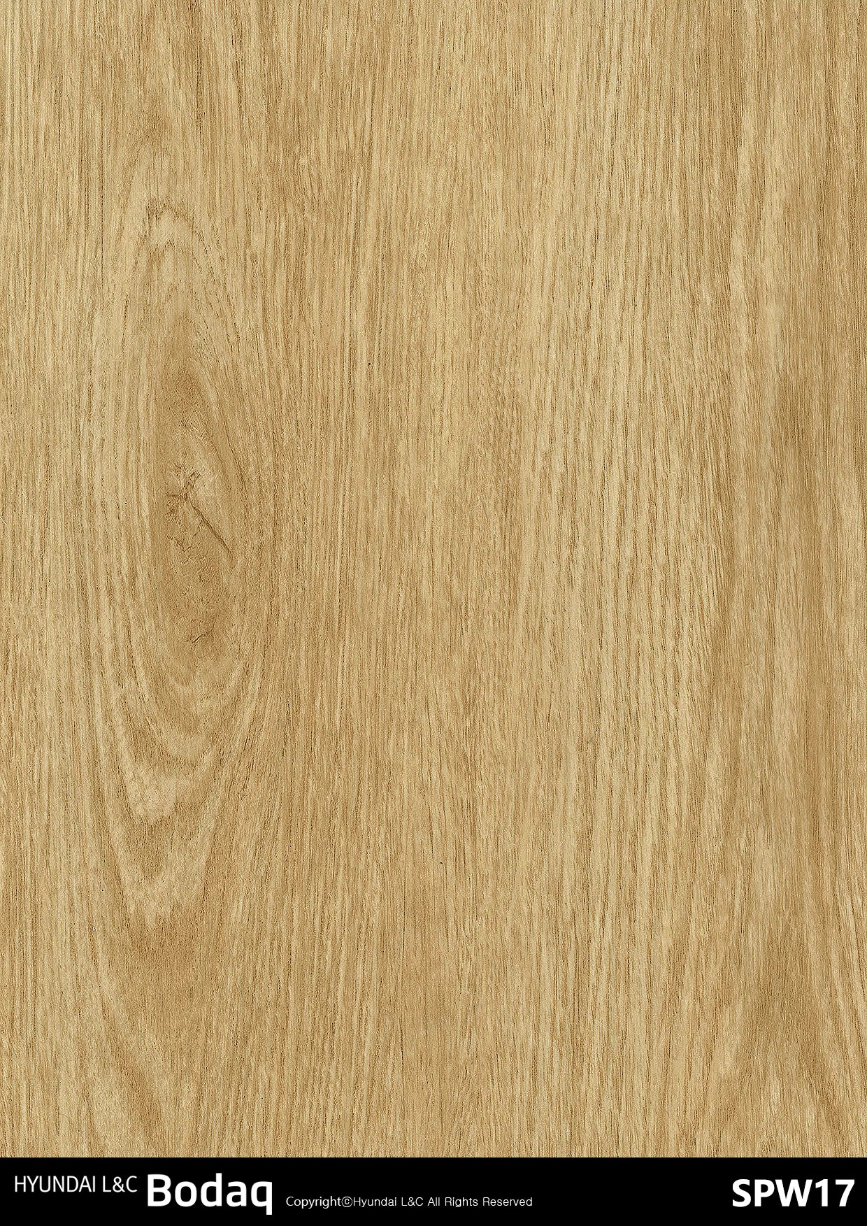 Origin Wood - SPW17 - Vinyl door wrap