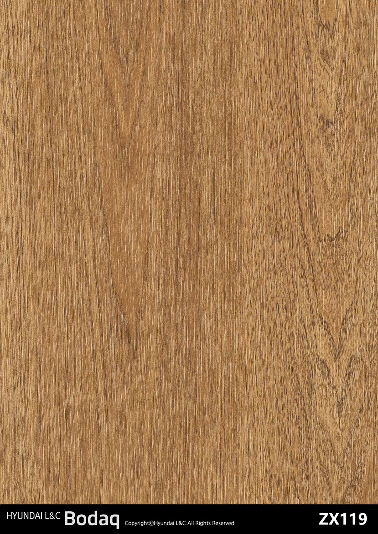 Premium Wood - ZX119 - Vinyl door wrap