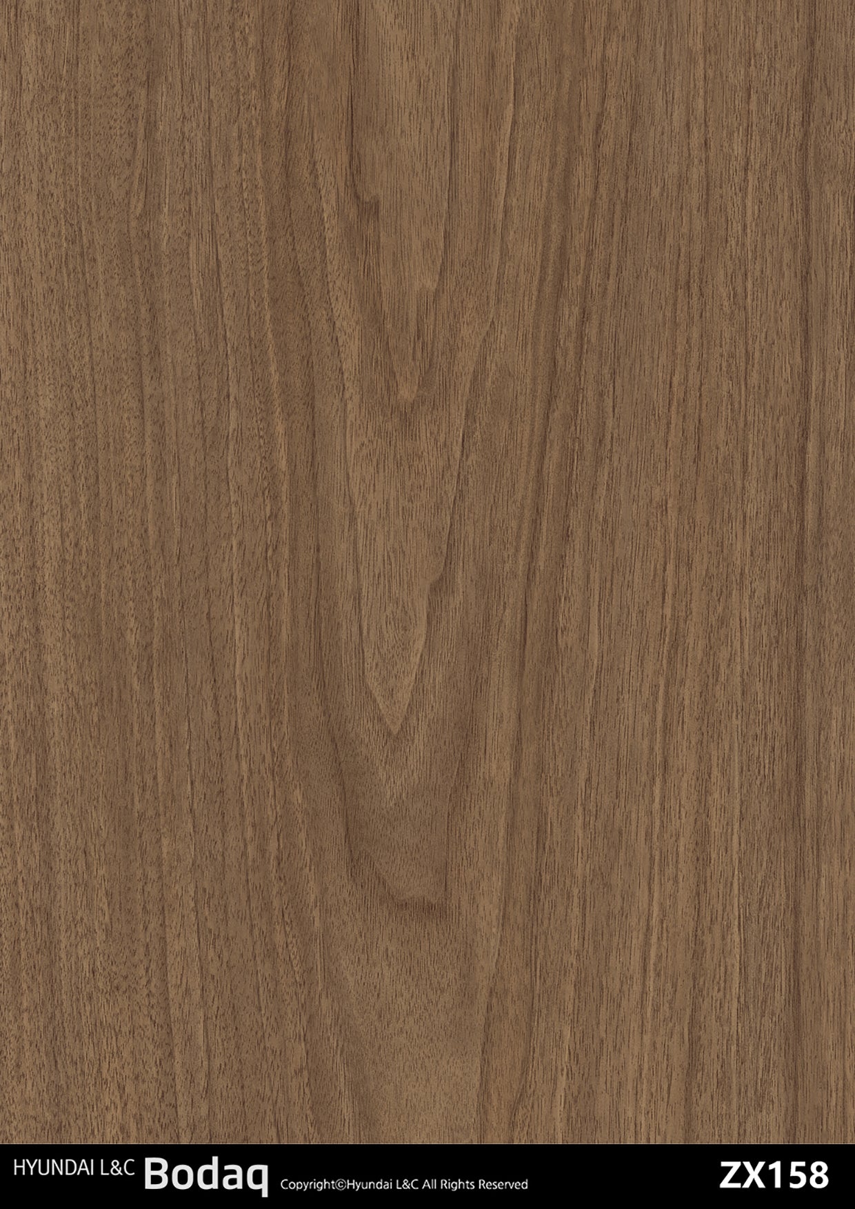 Premium Wood - ZX158 - Vinyl door wrap