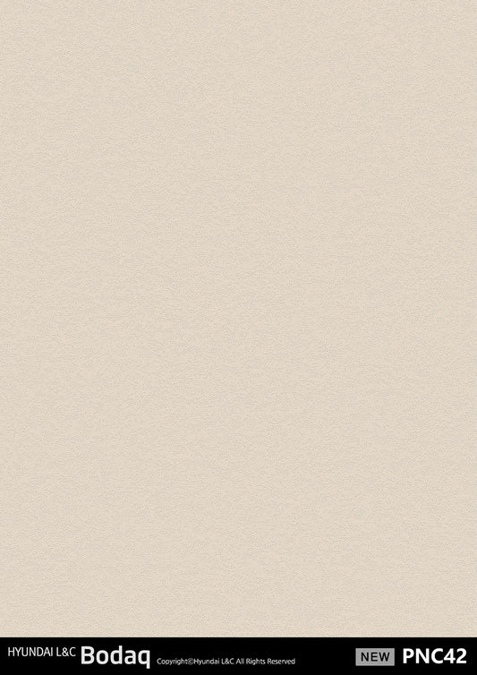 Premium Painted Concrete Series - PNC42 - Vinyl door wrap