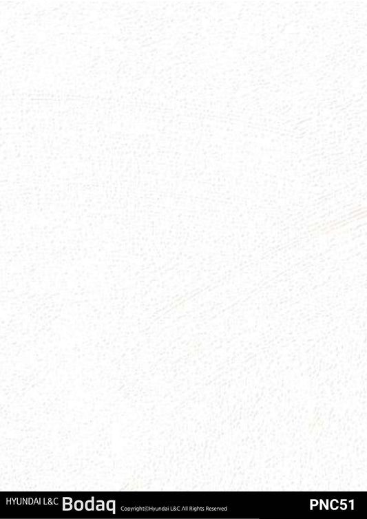 Premium Painted Concrete Series - PNC51 - Vinyl door wrap