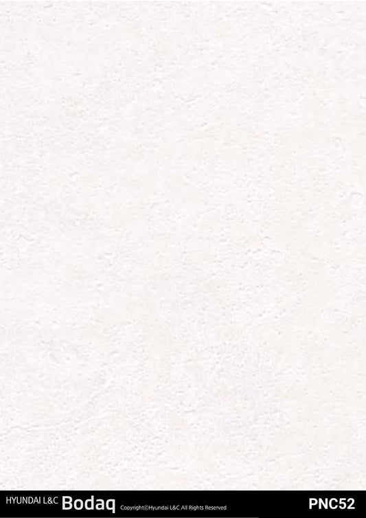 Premium Painted Concrete Series - PNC52 - Vinyl door wrap