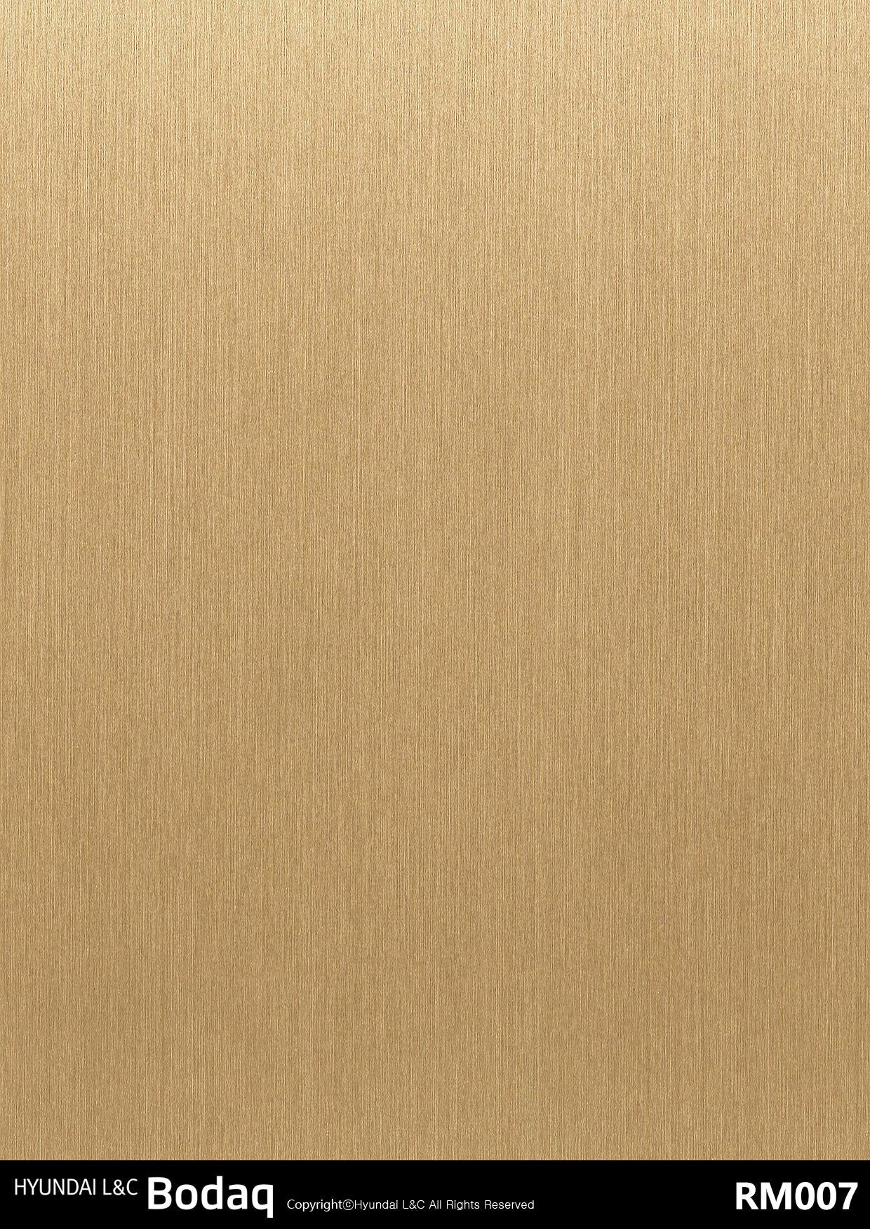 Real Metal - RM007 - Vinyl door wrap
