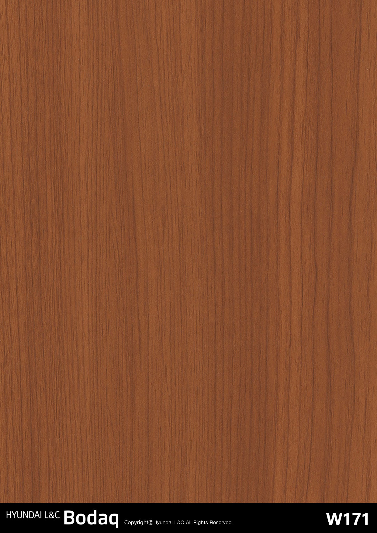 Standard Wood - W171 - Vinyl door wrap