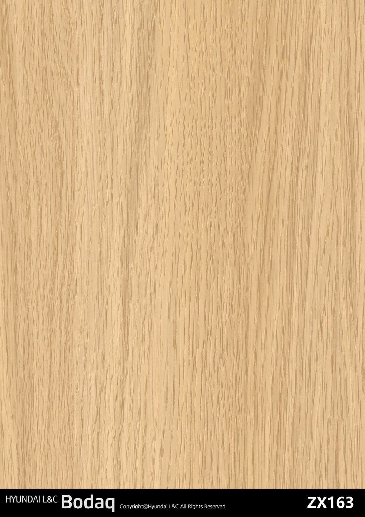 Premium Wood - ZX163 - Vinyl door wrap